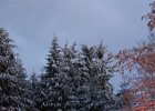 IMG_1573