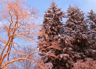 IMG_1574