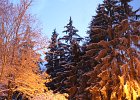 IMG_1575