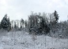 IMG_1832
