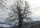 IMG_1836