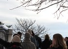 IMG_1837